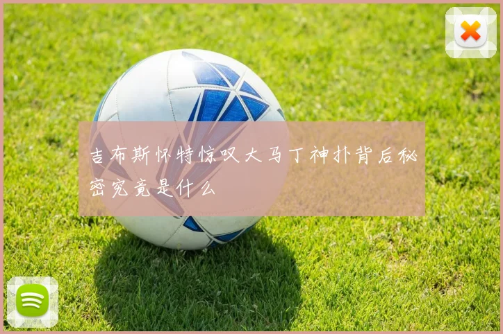 吉布斯怀特惊叹大马丁神扑背后秘密究竟是什么